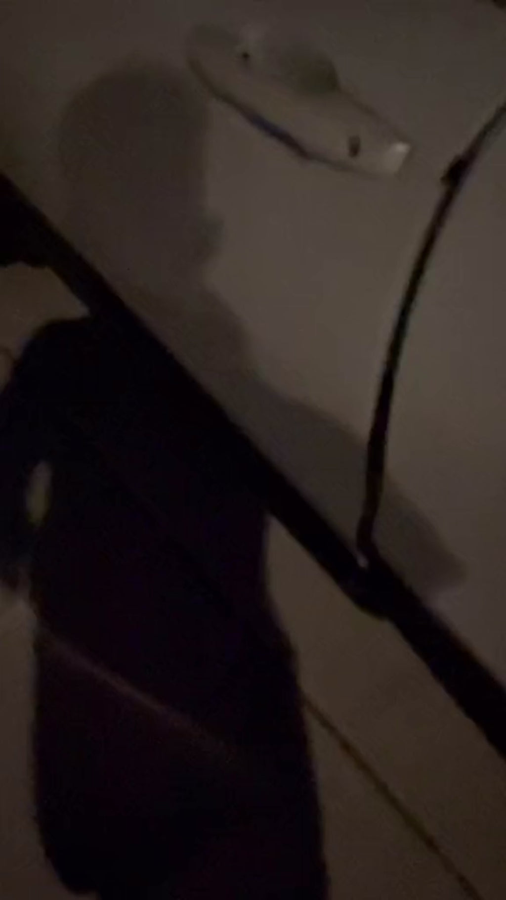 NFL LED Car Door Lights set of 2