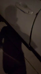 NFL LED Car Door Lights set of 2